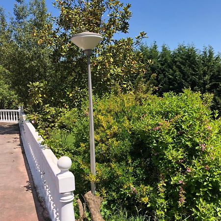 הוילה אוביידו La Casona De La Carbayeda מראה חיצוני תמונה