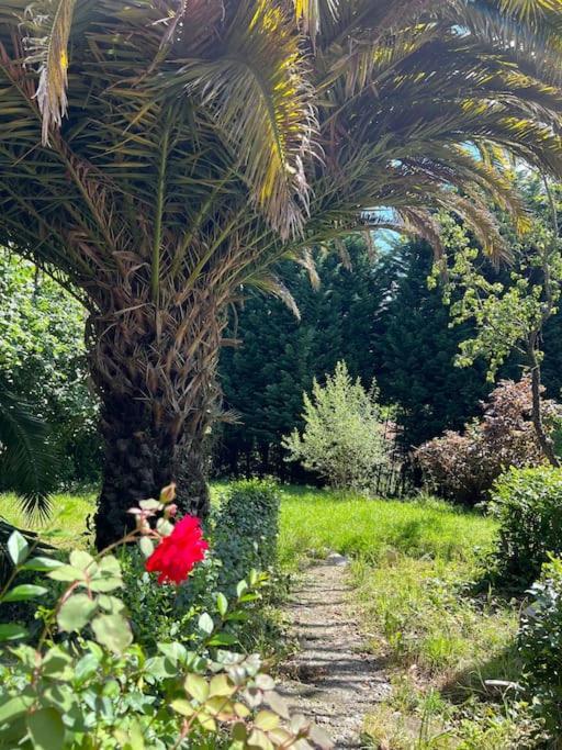 הוילה אוביידו La Casona De La Carbayeda מראה חיצוני תמונה